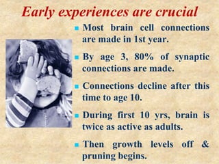Brain Development In Infancy Infant brain development | PPT