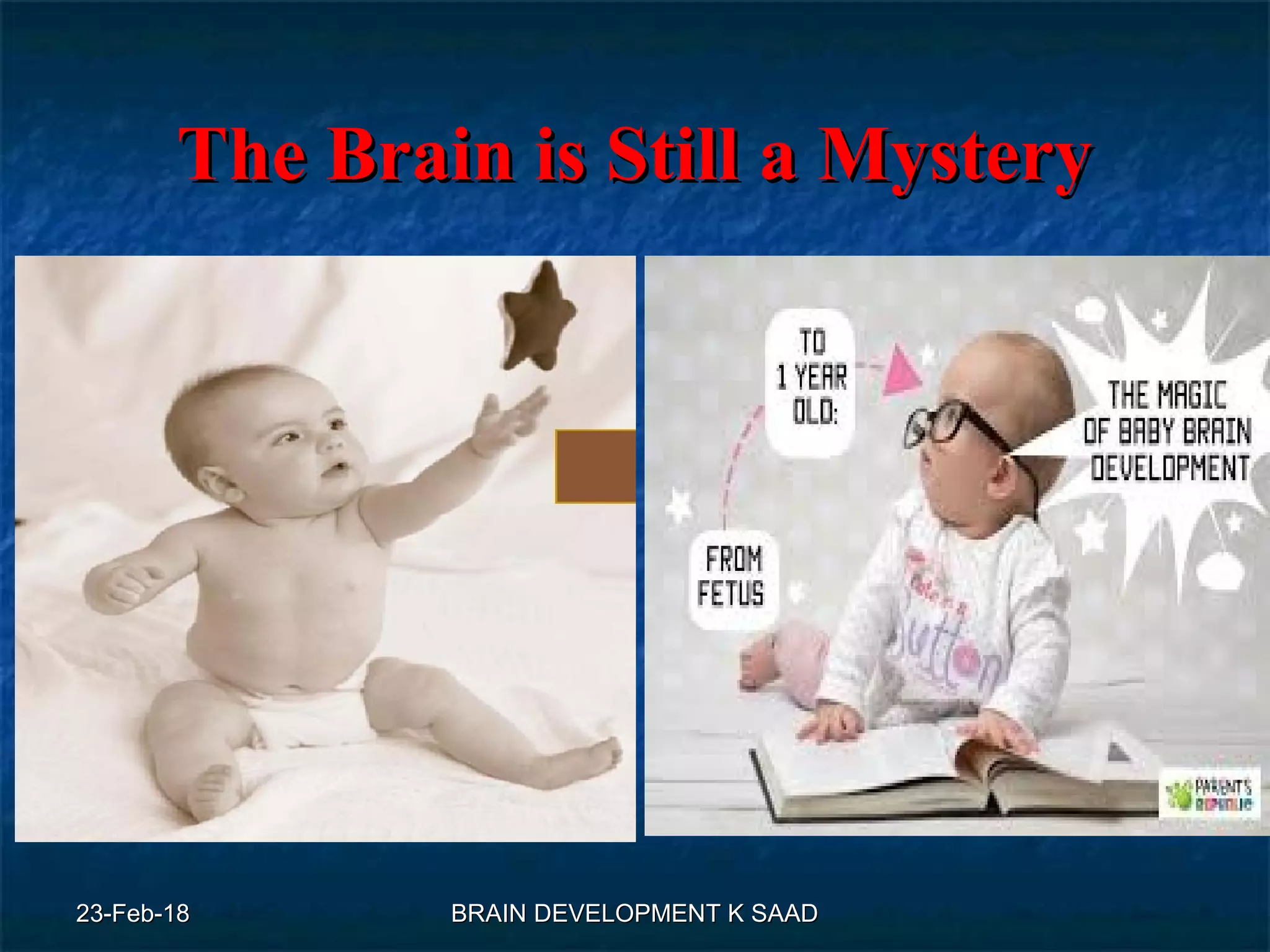 Infant brain development | PPT