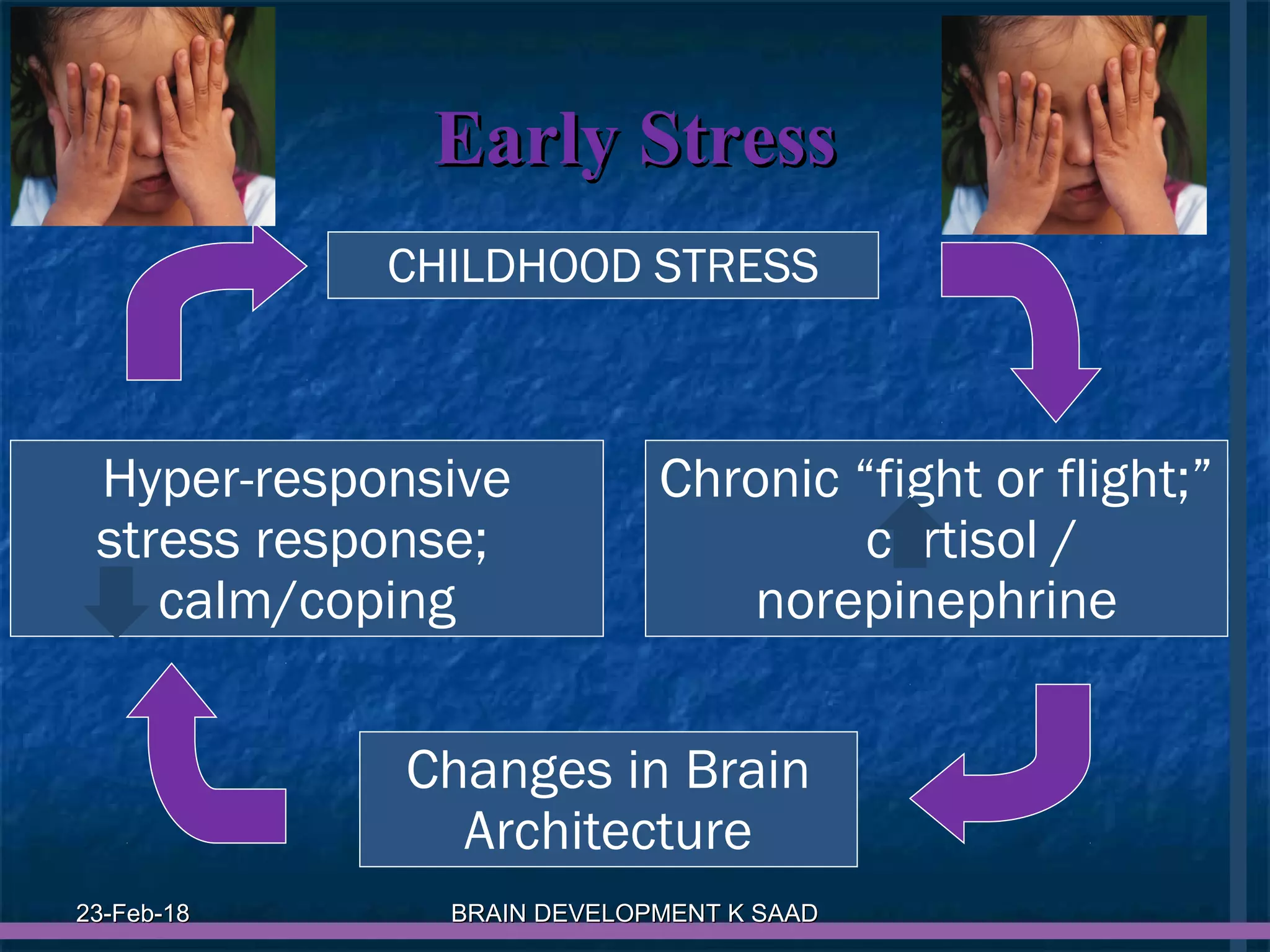 Infant brain development | PPT | Brain and Nervous System Disorders ...
