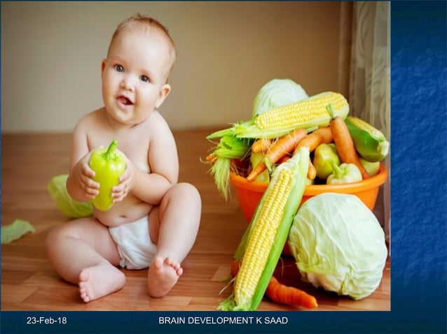 Infant brain development | PPT | Brain and Nervous System Disorders ...