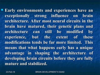 Infant brain development | PPT