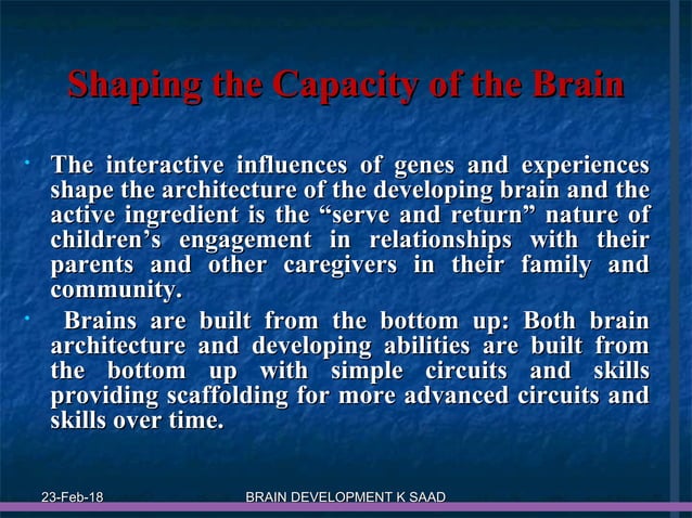 Infant brain development | PPT | Brain and Nervous System Disorders ...