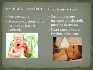  Become stable
 Mucus production in the
respiratory tract is
reduced.
 Systolic pressure
increases and diastolic
pressure decreases.
 Heart rate slows and
rhythm is frequent.
Circulatory system
 