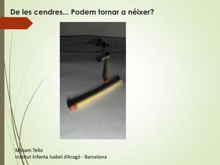 De les cendres... Podem tornar a néixer?




 Míriam Tello
 Institut Infanta Isabel d’Aragó - Barcelona
 