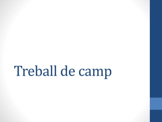 Treball de camp
 