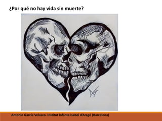 ¿Por qué no hay vida sin muerte?
Antonio García Velasco. Institut Infanta Isabel d’Aragó (Barcelona)
 