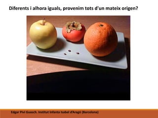 Diferents i alhora iguals, provenim tots d'un mateix origen?
Edgar Pivi Guasch. Institut Infanta Isabel d’Aragó (Barcelona)
 