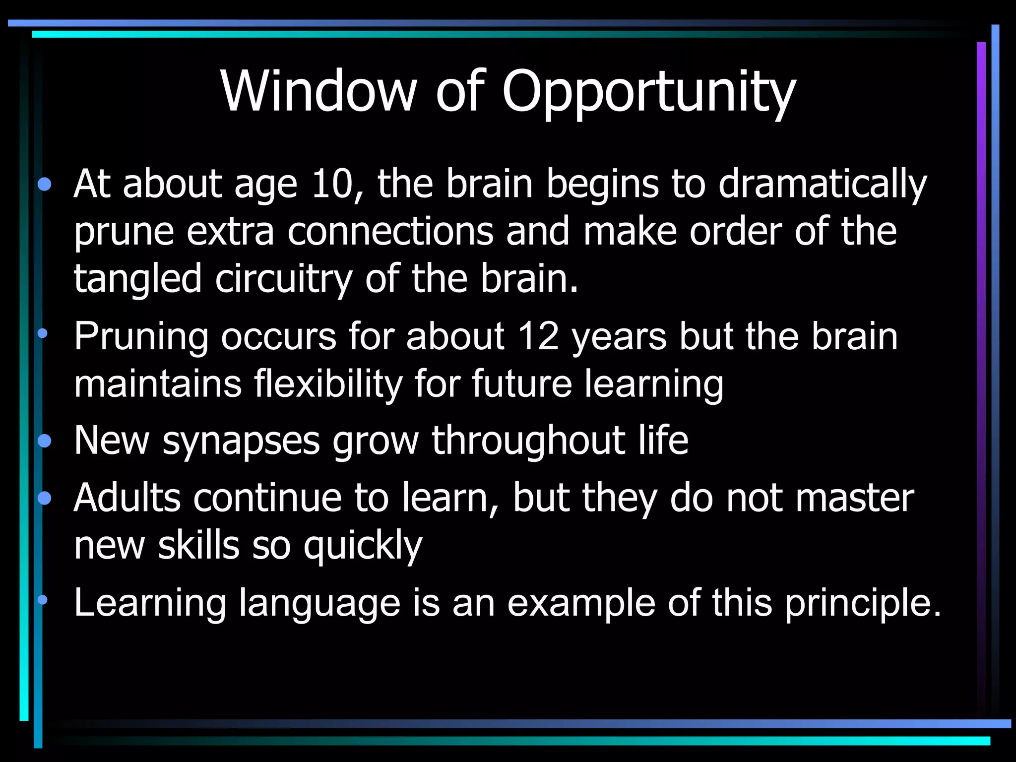 Window of Opportunity At about age 10, the brain begins to dramatically prune extra connections and make order of the tangled circuitry of the brain.  Pruning occurs for about 12 years but the brain maintains flexibility for future learning New synapses grow throughout life  Adults continue to learn, but they do not master new skills so quickly  Learning language is an example of this principle. 