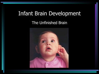 Infant Brain Development The Unfinished Brain 