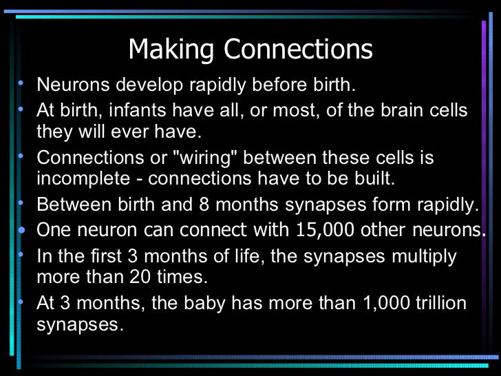 infant brain development