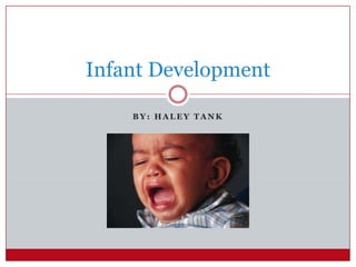 Infant Development

    BY: HALEY TANK
 