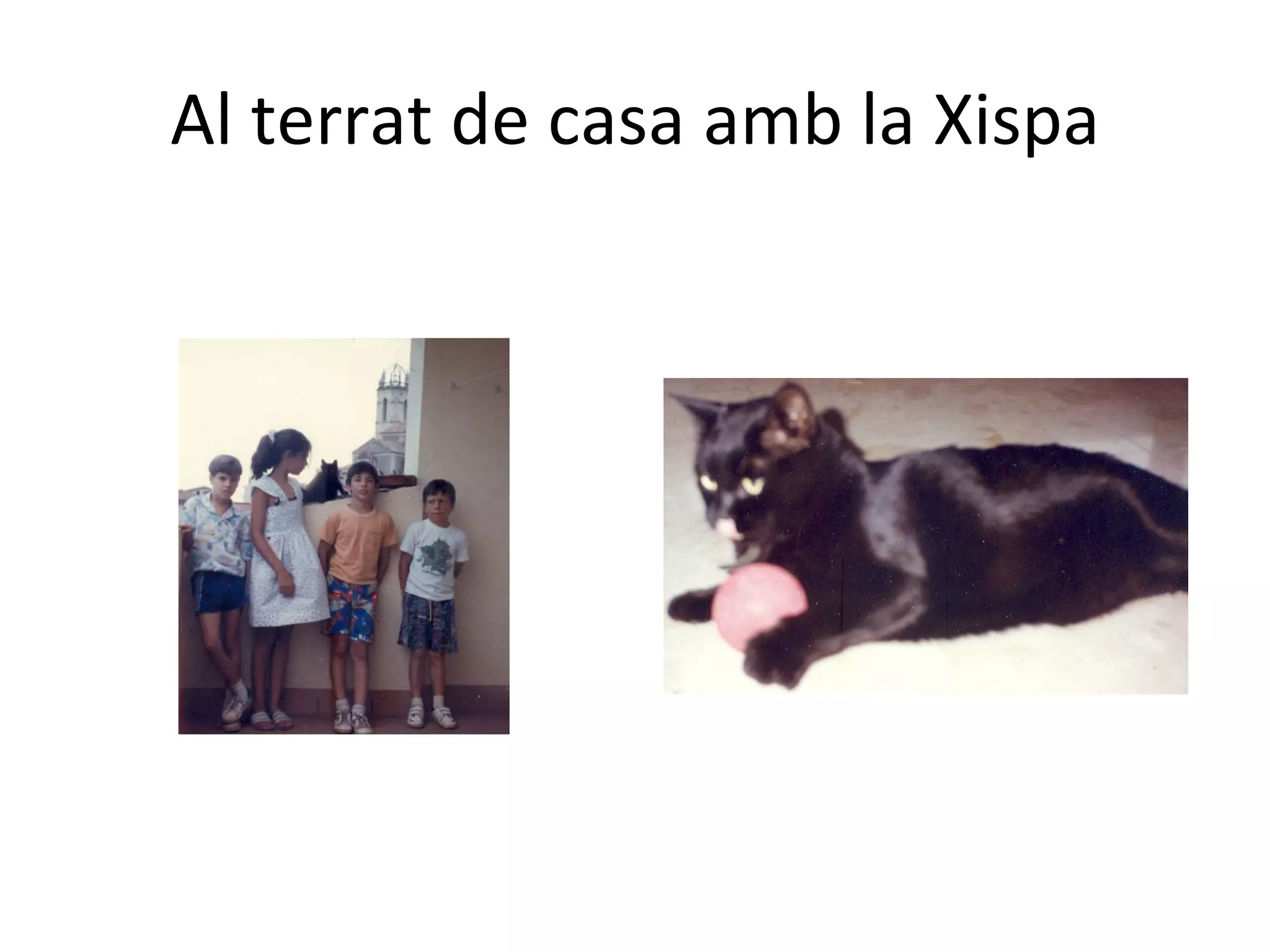 Al terrat de casa amb la Xispa 