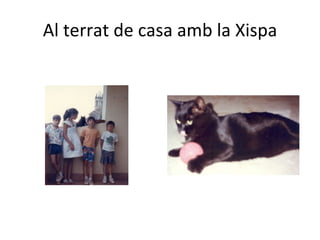 Al terrat de casa amb la Xispa 