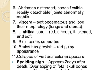 6. Abdomen distended, bones flexible
readily detachable, joints abnormally
mobile
7. Viscera – soft oedematous and lose
their morphology (lungs and uterus)
8. Umbilical cord – red, smooth, thickened,
and soft
9. Skull bones seperated
10. Brains has greyish – red pulpy
appearance
11.Collapse of vertibral column appears
 Spalding sign – Appears 2days after
death. Overlapping of fetal skull bones
 