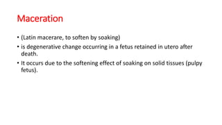 Maceration
• (Latin macerare, to soften by soaking)
• is degenerative change occurring in a fetus retained in utero after
death.
• It occurs due to the softening effect of soaking on solid tissues (pulpy
fetus).
 