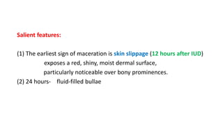 Salient features:
(1) The earliest sign of maceration is skin slippage (12 hours after IUD)
exposes a red, shiny, moist dermal surface,
particularly noticeable over bony prominences.
(2) 24 hours- fluid-filled bullae
 