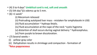 • (4) 3 to 4 days" Umbilical cord is red, soft and smooth
• (5) 5th day"S/c edema up to 5 mm.
• (6) >1 week"
(i) Meconium released
(ii) Protruding autolyzed liver mass - mistaken for omphalocele in USG
(iii) fluid accumulation ~ hydrops fetalis.
(iv) fluid accumulation at the nape of the neck ~cystic hygroma
(v) distortion of skull occurs during vaginal delivery ~ hydrocephalus.
(vi) from purple to brown discoloration.
• (7) Several weeks –
(i) yellow–gray color
(ii) Dehydration results in shrinkage and compaction - formation of
“fetus papyraceous
 