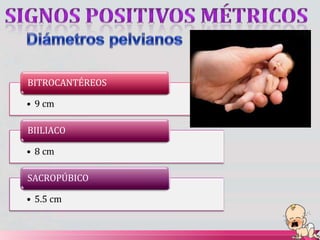 BITROCANTÉREOS
• 9 cm
BIILIACO
• 8 cm
SACROPÚBICO
• 5.5 cm
 