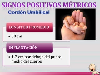 LONGITUD PROMEDIO
• 50 cm
IMPLANTACIÓN
• 1-2 cm por debajo del punto
medio del cuerpo
 