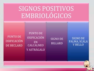 SIGNOS POSITIVOS
EMBRIOLÓGICOS
PUNTO DE
OSIFICACIÓN
DE BECLARD
PUNTO DE
OSIFICACIÓN
EN
CALCALNEO
Y ASTRÁGALO
SIGNO DE
BILLARD
SIGNO DE
PALMA, SCALA
Y BELLO
 