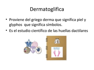Dermatoglifica
• Proviene del griego derma que significa piel y
  glyphos que significa símbolos.
• Es el estudio científico de las huellas dactilares
 