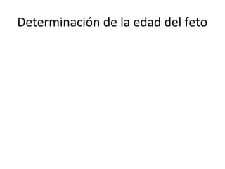 Determinación de la edad del feto
 