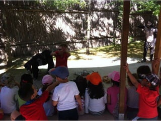 Infantil Arqueopinto_Pereda