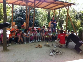 Infantil Arqueopinto_Pereda