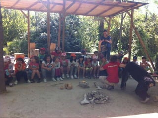 Infantil Arqueopinto_Pereda