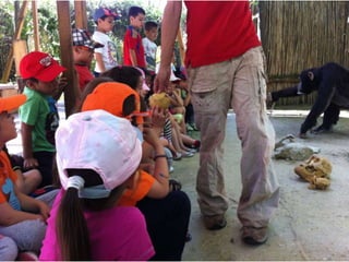 Infantil Arqueopinto_Pereda