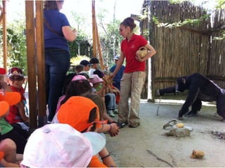 Infantil Arqueopinto_Pereda