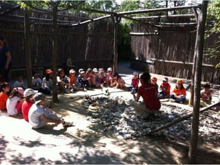 Infantil Arqueopinto_Pereda