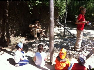 Infantil Arqueopinto_Pereda