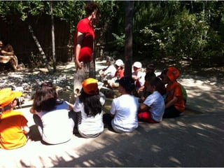 Infantil Arqueopinto_Pereda