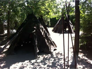 Infantil Arqueopinto_Pereda