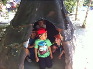 Infantil Arqueopinto_Pereda