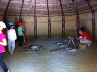 Infantil Arqueopinto_Pereda