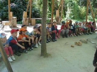 Infantil Arqueopinto_Pereda