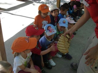 Infantil Arqueopinto_Pereda