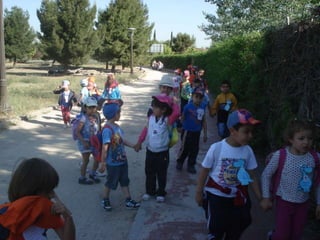 Infantil Arqueopinto_Pereda