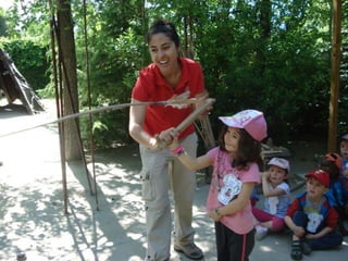Infantil Arqueopinto_Pereda