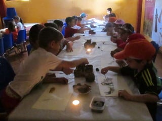 Infantil Arqueopinto_Pereda