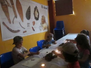 Infantil Arqueopinto_Pereda