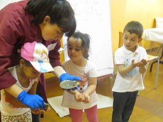 Infantil Arqueopinto_Pereda