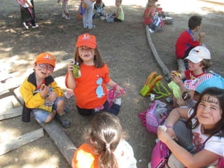 Infantil Arqueopinto_Pereda