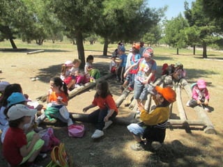 Infantil Arqueopinto_Pereda