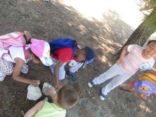 Infantil Arqueopinto_Pereda