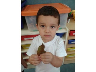 Infantil de 3 años el otoño