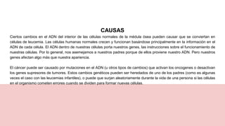 CAUSAS
Ciertos cambios en el ADN del interior de las células normales de la médula ósea pueden causar que se conviertan en
células de leucemia. Las células humanas normales crecen y funcionan basándose principalmente en la información en el
ADN de cada célula. El ADN dentro de nuestras células porta nuestros genes, las instrucciones sobre el funcionamiento de
nuestras células. Por lo general, nos asemejamos a nuestros padres porque de ellos proviene nuestro ADN. Pero nuestros
genes afectan algo más que nuestra apariencia.
El cáncer puede ser causado por mutaciones en el ADN (u otros tipos de cambios) que activan los oncogenes o desactivan
los genes supresores de tumores. Estos cambios genéticos pueden ser heredados de uno de los padres (como es algunas
veces el caso con las leucemias infantiles), o puede que surjan aleatoriamente durante la vida de una persona si las células
en el organismo cometen errores cuando se dividen para formar nuevas células.
 