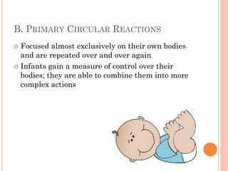B. PRIMARY CIRCULAR REACTIONS
Focused almost exclusively on their own bodies
and are repeated over and over again
 Infants gain a measure of control over their
bodies; they are able to combine them into more
complex actions


 